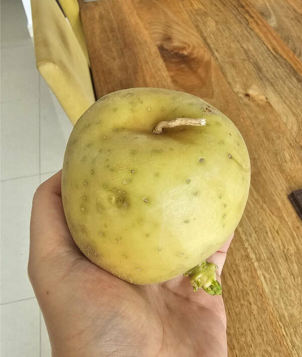 Awesome Pics Worth Sharing