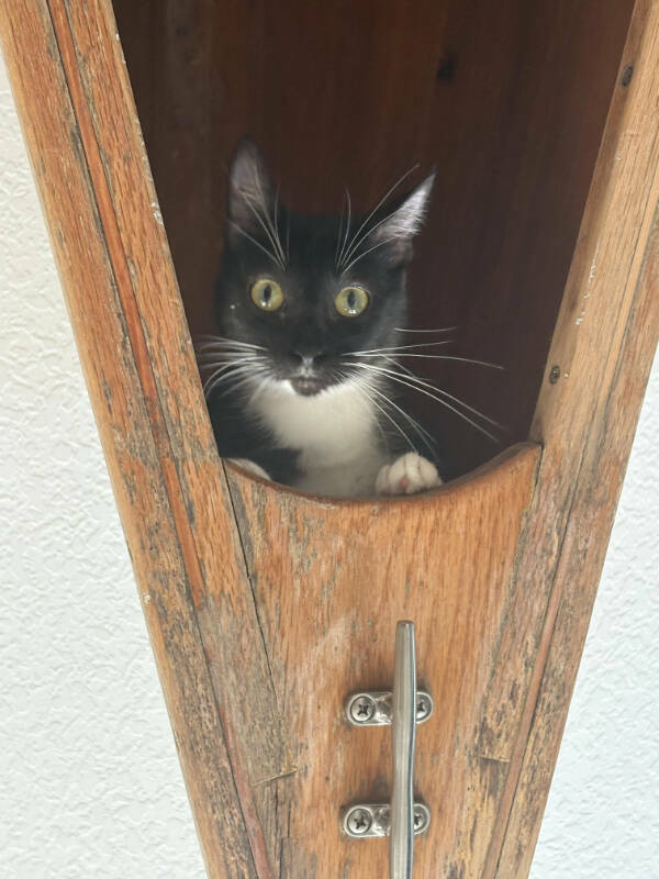 Awesome Pics Worth Sharing