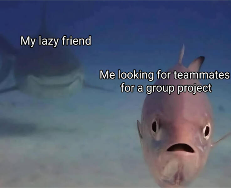 Only the Dankest of Memes