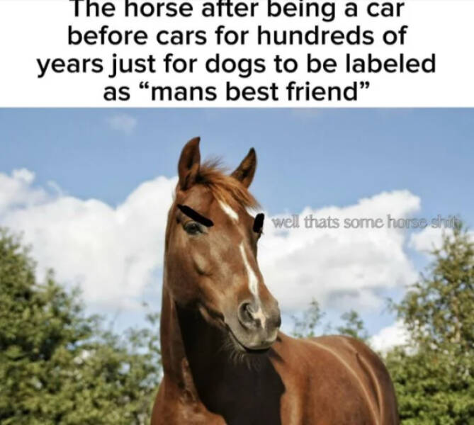 Only the Dankest of Memes