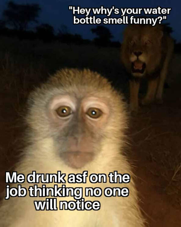 Only the Dankest of Memes