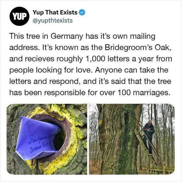 These Things, in Fact, Exist!