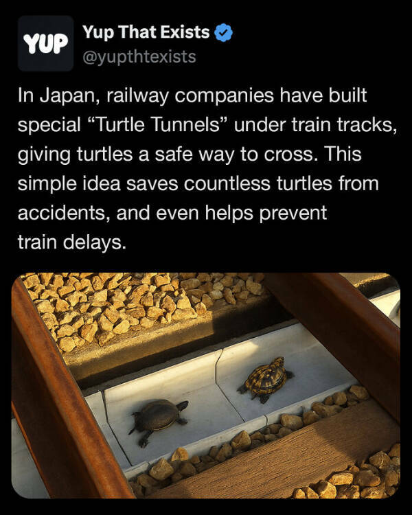 These Things, in Fact, Exist!