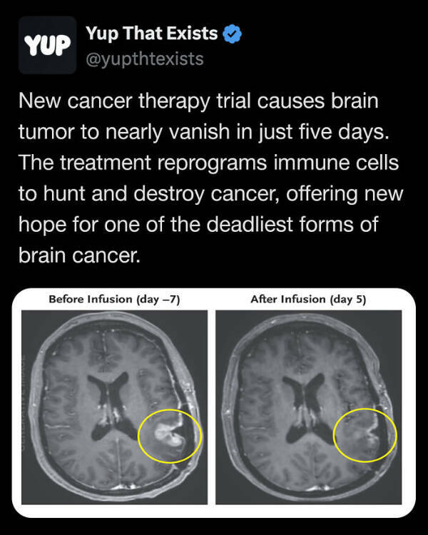 These Things, in Fact, Exist!