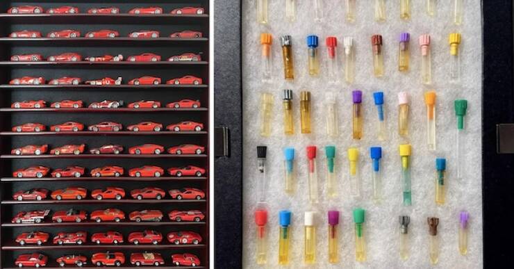 Unique and Curious Collections People Keep