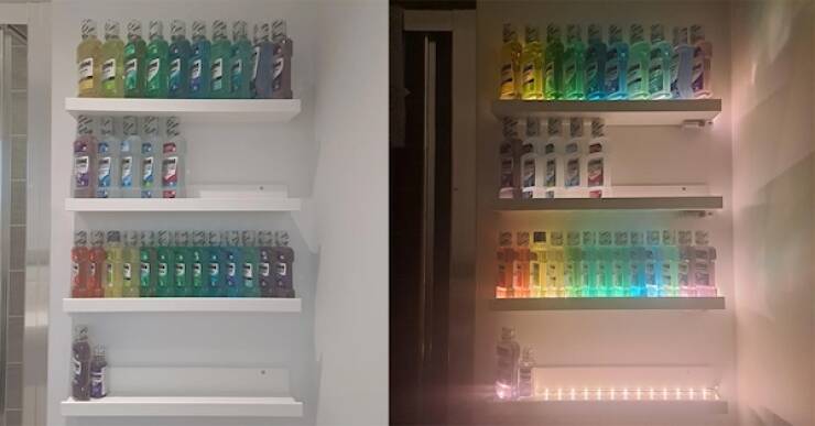 Unique and Curious Collections People Keep