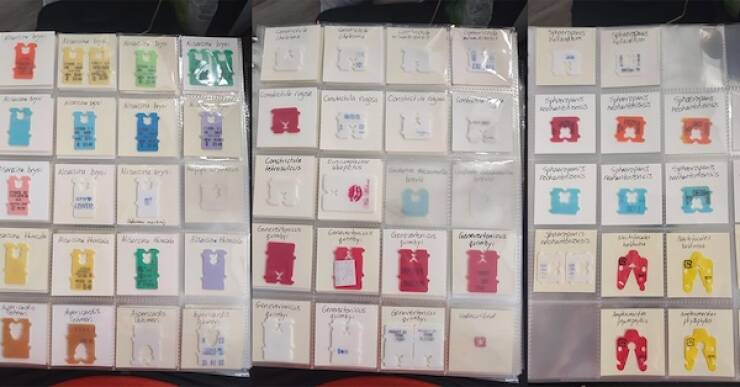 Unique and Curious Collections People Keep