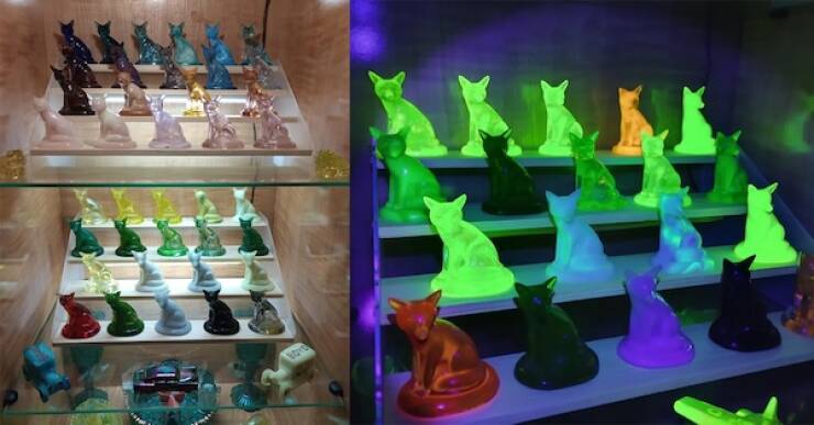 Unique and Curious Collections People Keep