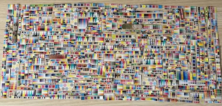 Unique and Curious Collections People Keep