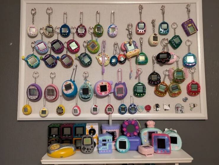 Unique and Curious Collections People Keep