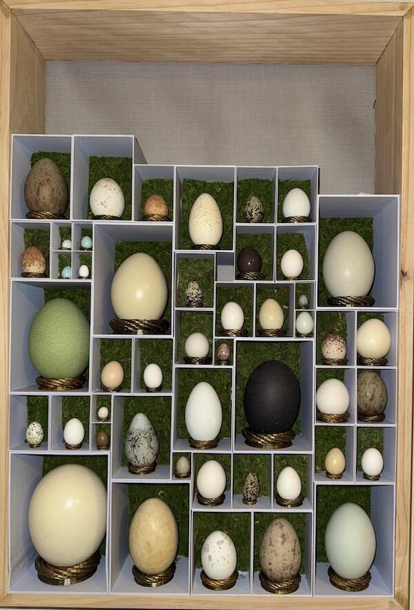 Unique and Curious Collections People Keep