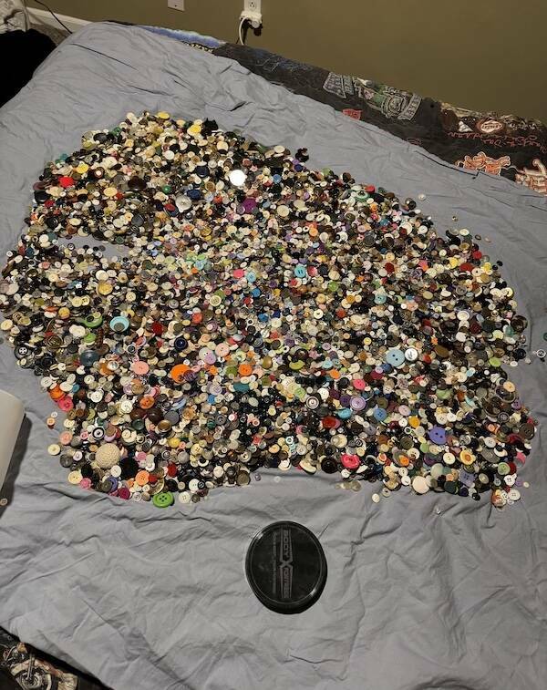 Unique and Curious Collections People Keep