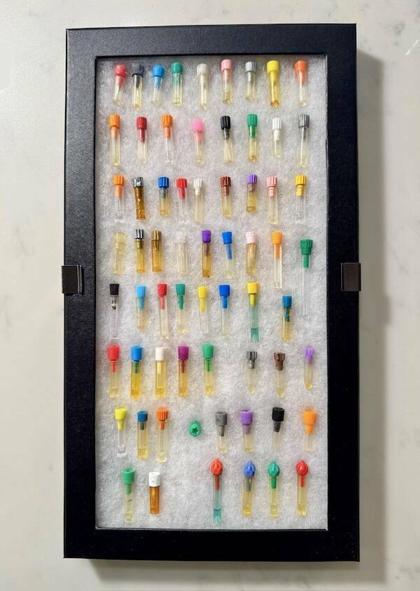 Unique and Curious Collections People Keep