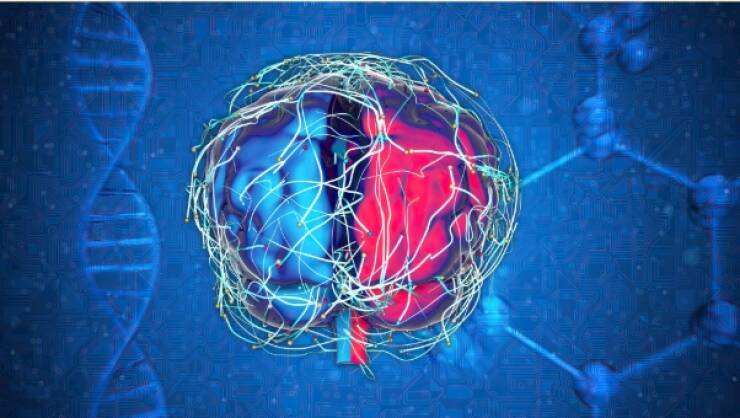 Neurobiology of gambling and the magic of big emotions Neurobiology of gambling and the magic of big emotions