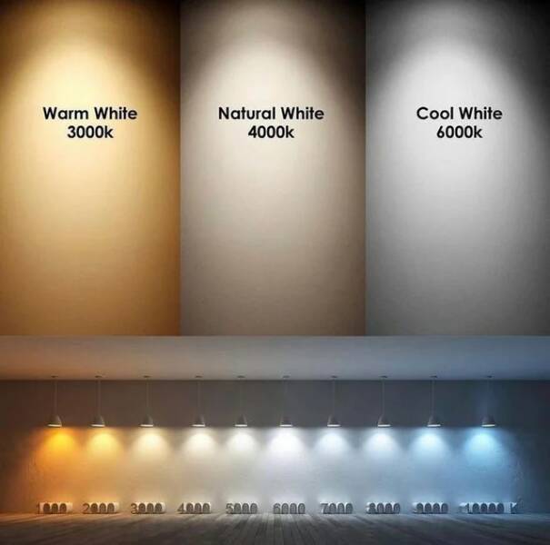 Practical Tips for the Most Unexpected Things