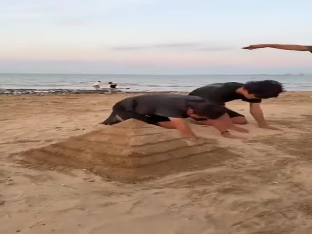 Just Best Friends Resting On The Beach