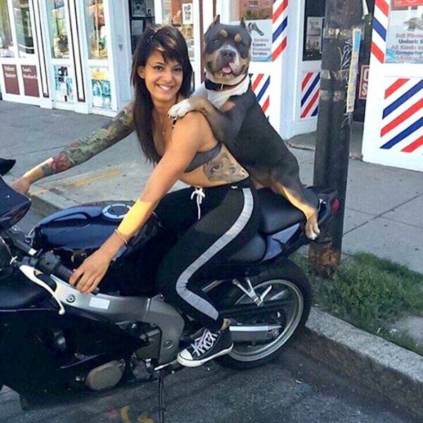 Cool Dogs Living Their Best Lives