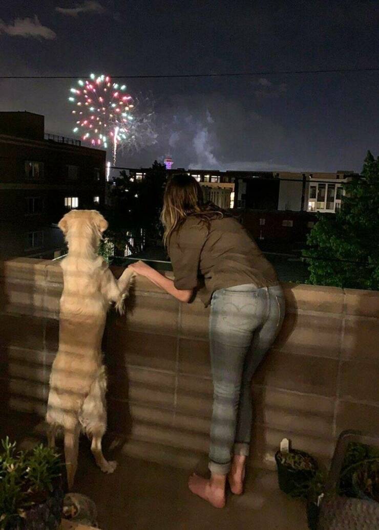 Cool Dogs Living Their Best Lives