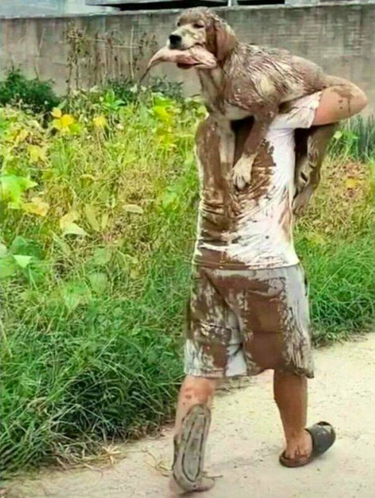 Cool Dogs Living Their Best Lives