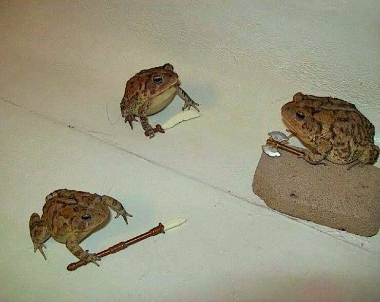 Daily Picdump Daily Picdump