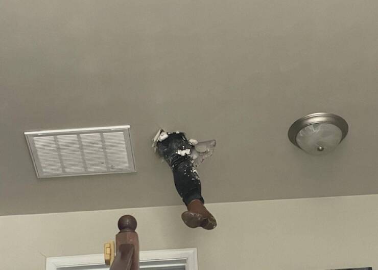 Daily Picdump Daily Picdump