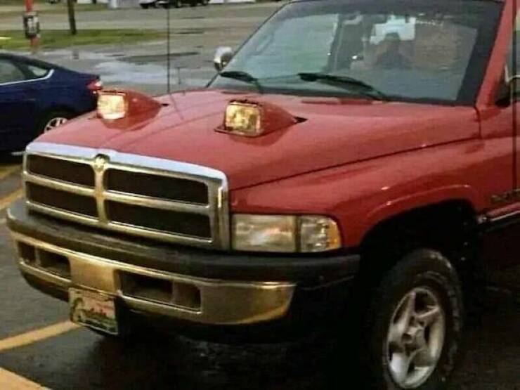 Daily Picdump Daily Picdump