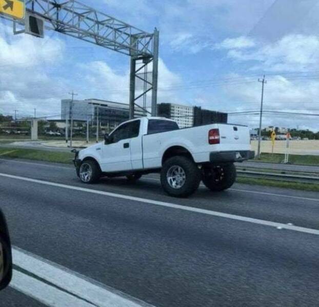 Daily Picdump Daily Picdump