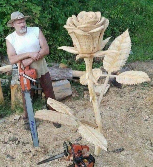 Daily Picdump Daily Picdump