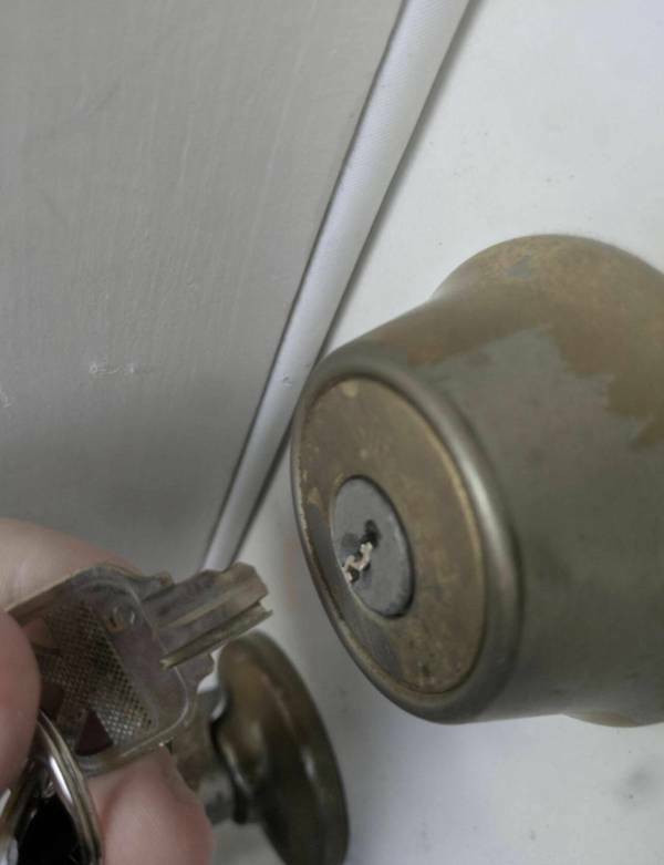 Daily Picdump Daily Picdump