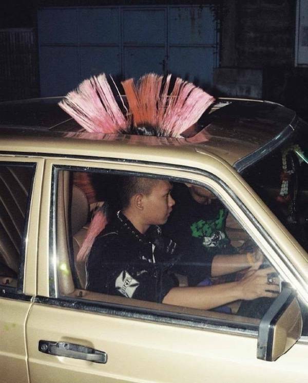 Daily Picdump Daily Picdump