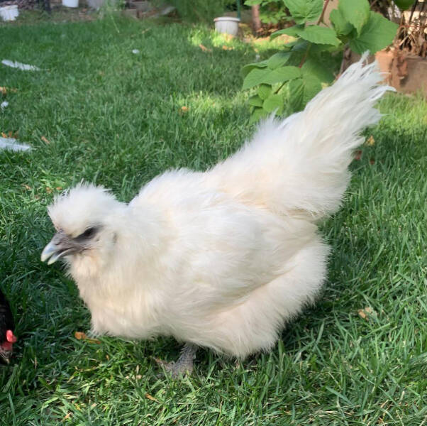 Finding Fun in the Mildly Interesting