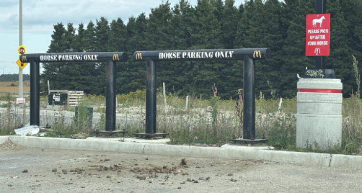 Finding Fun in the Mildly Interesting