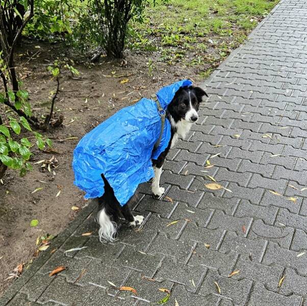 Finding Fun in the Mildly Interesting