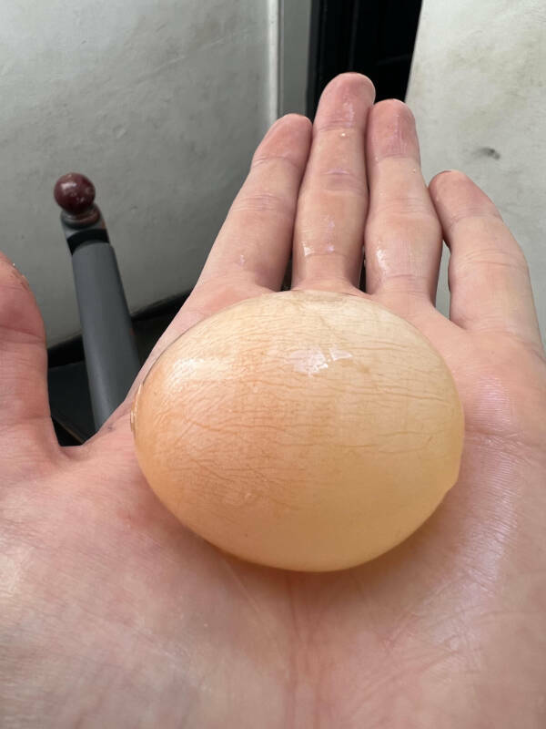 Finding Fun in the Mildly Interesting