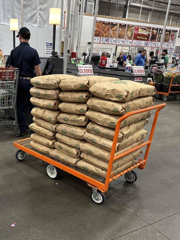 Finding Fun in the Mildly Interesting