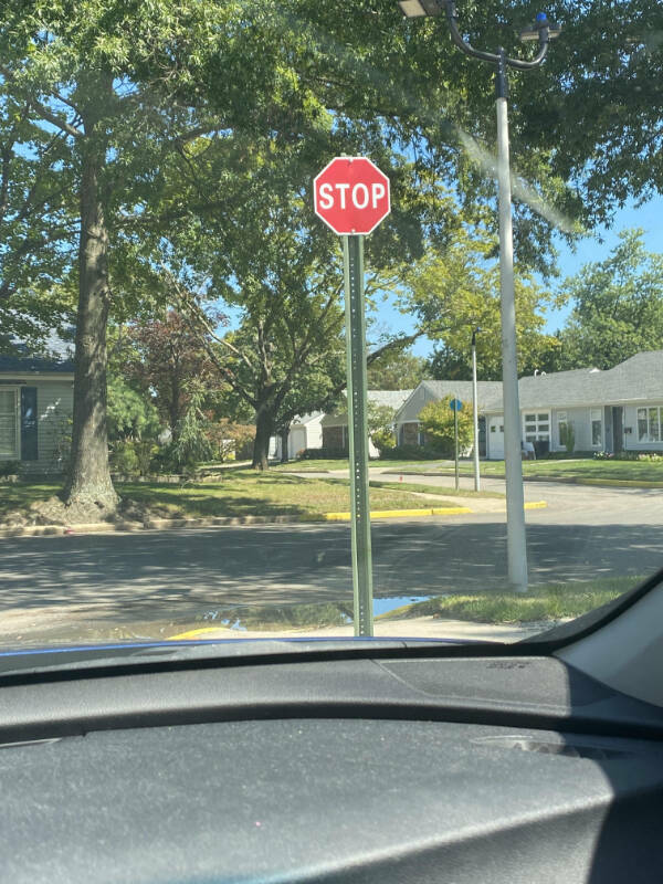 Finding Fun in the Mildly Interesting