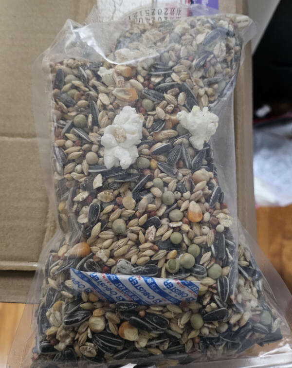 Finding Fun in the Mildly Interesting