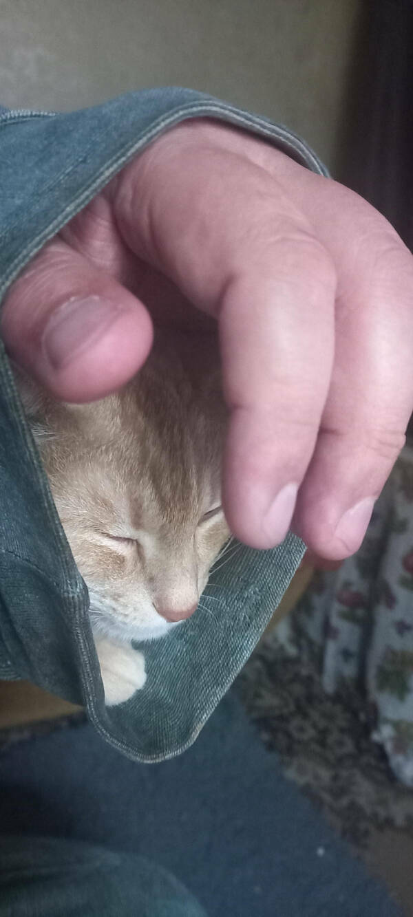 Finding Fun in the Mildly Interesting