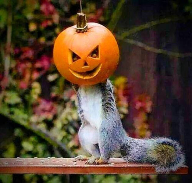 It’s Nearly Spooky Time