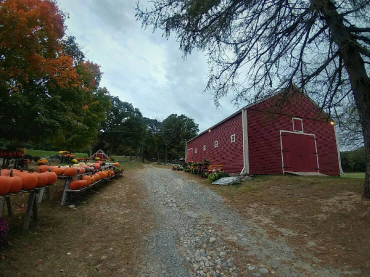 It’s Nearly Spooky Time