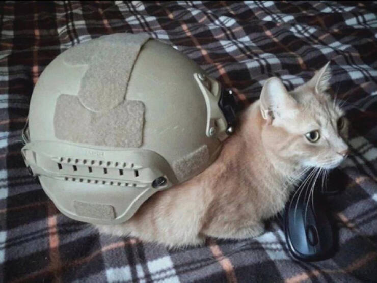 When Reality Gets Weird