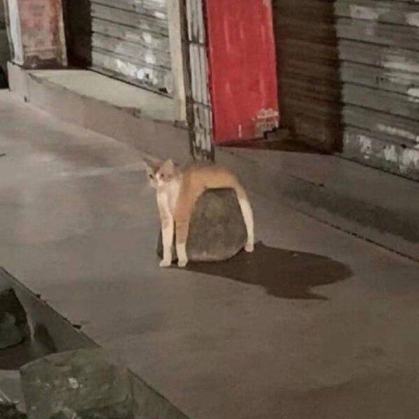 When Reality Gets Weird