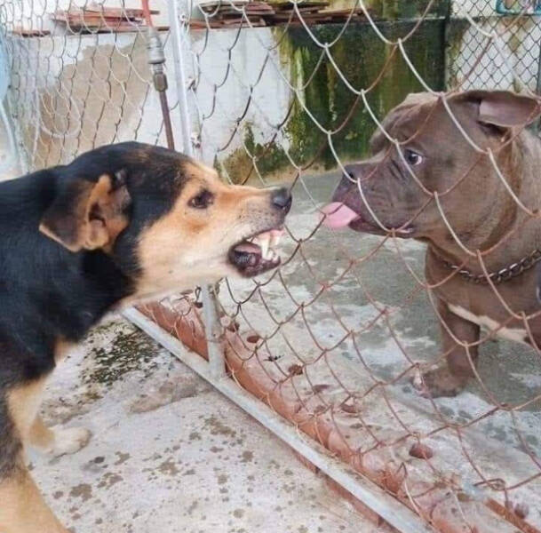 When Reality Gets Weird