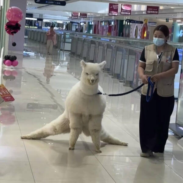 When Reality Gets Weird