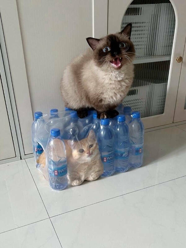 When Reality Gets Weird