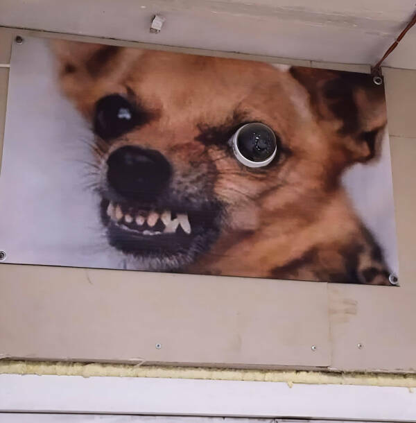 When Reality Gets Weird