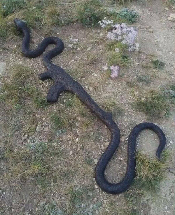 When Reality Gets Weird