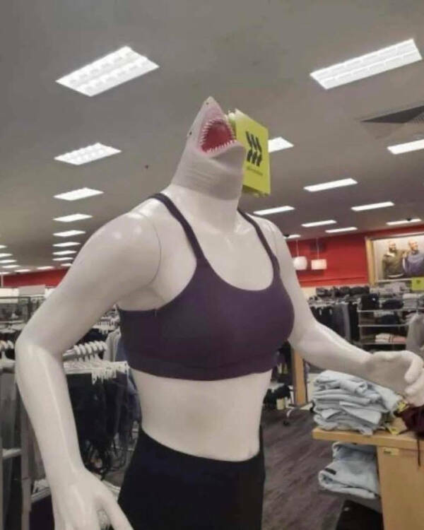 When Reality Gets Weird