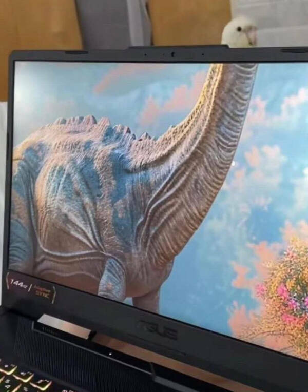 When Reality Gets Weird