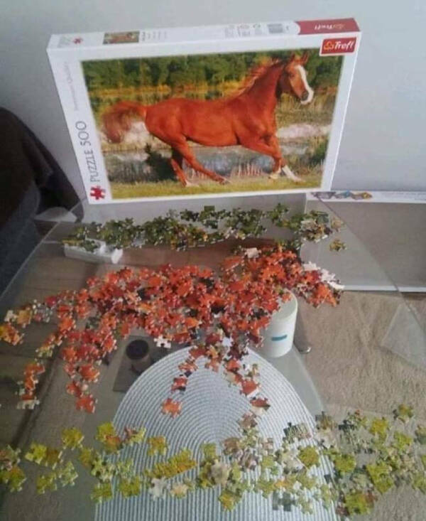 When Reality Gets Weird